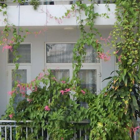 הו צ'י מין סיטי Homestay 37 Ad מראה חיצוני תמונה