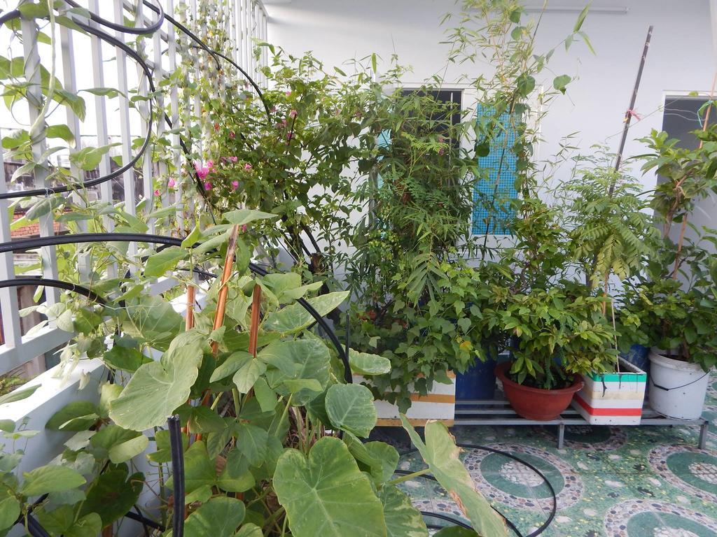 הו צ'י מין סיטי Homestay 37 Ad מראה חיצוני תמונה